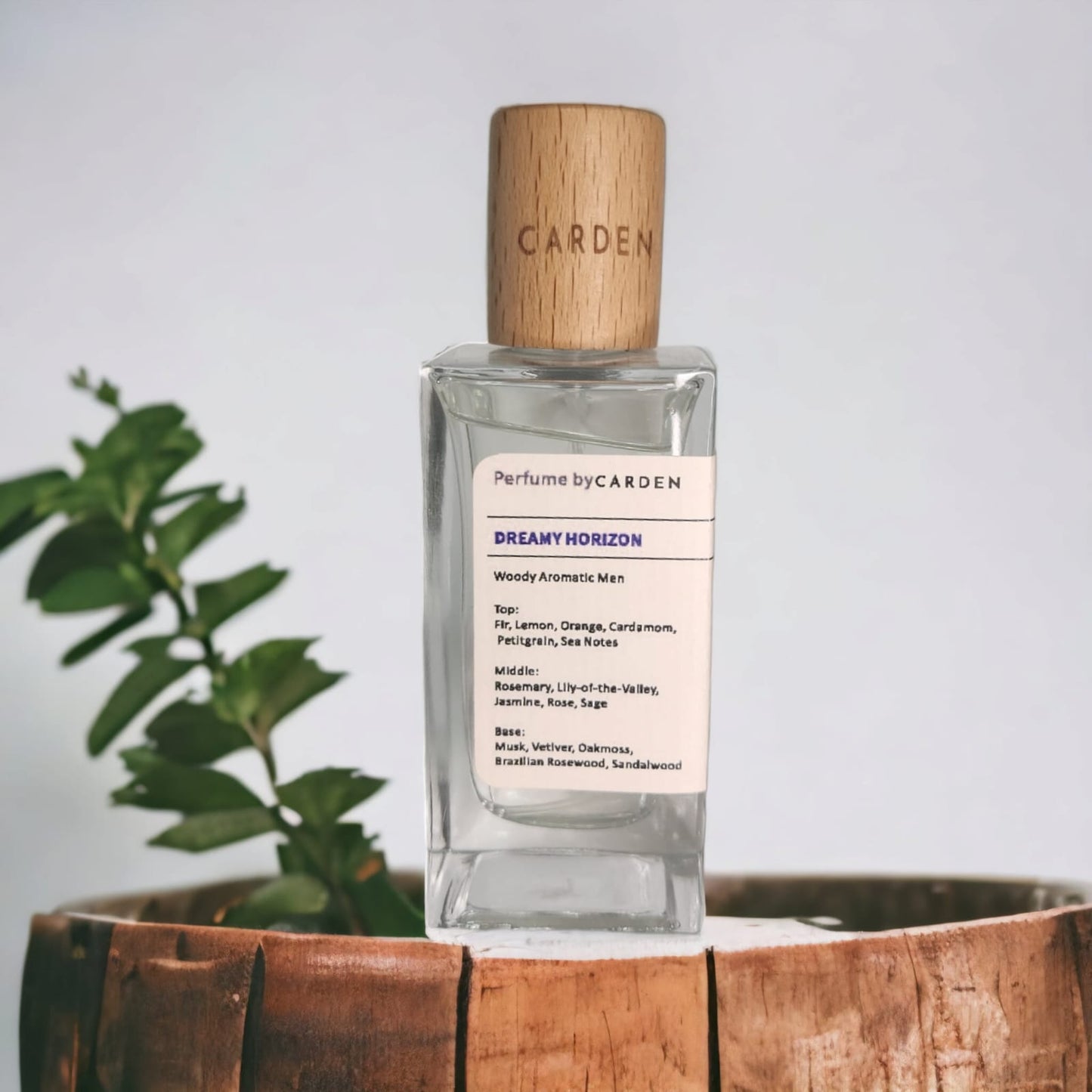 DREAMY HORIZON (Inspired by Abercrombie & Fitch, Fierce)