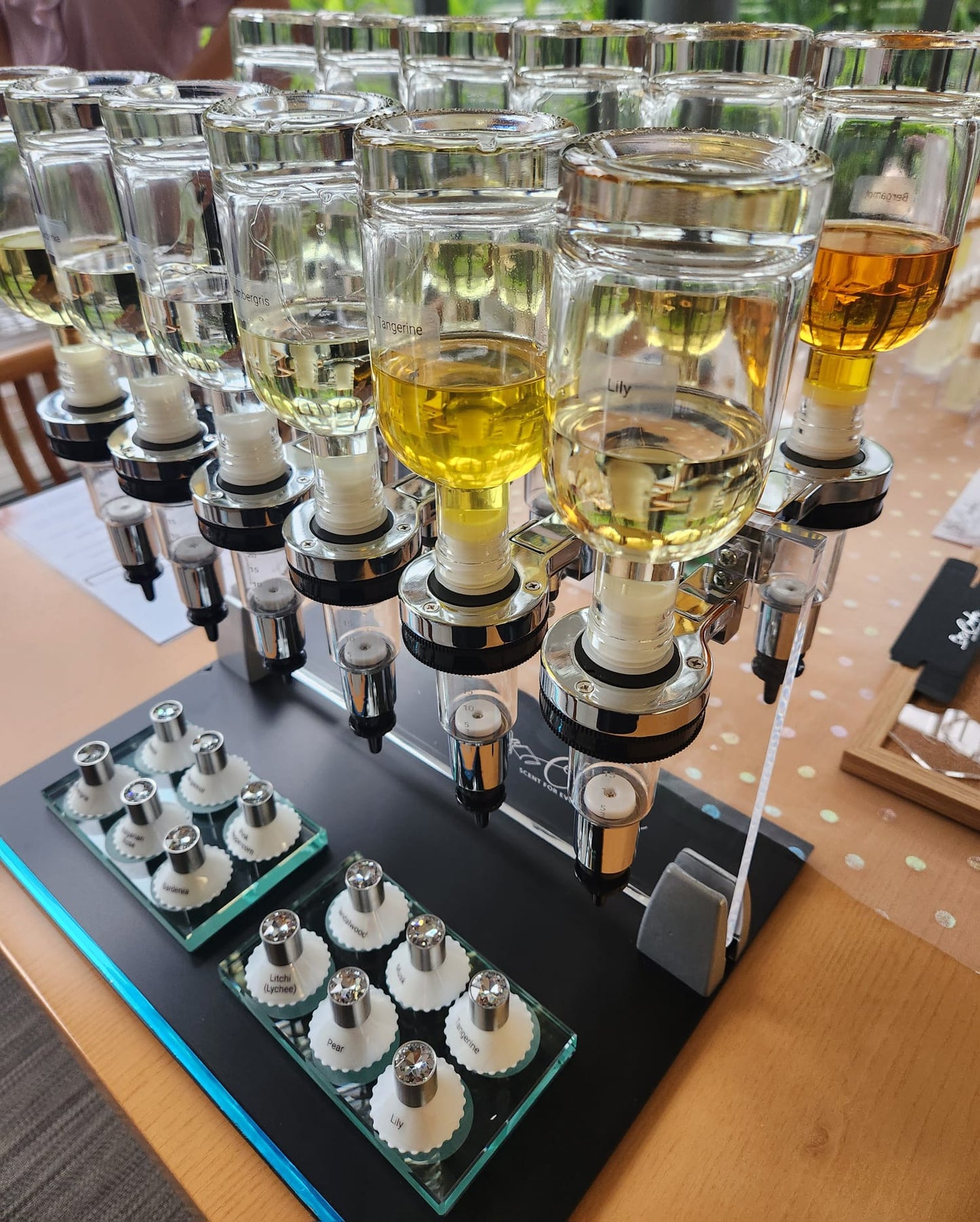 Perfume making workshop